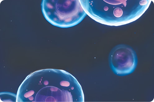 immune system and vaccines